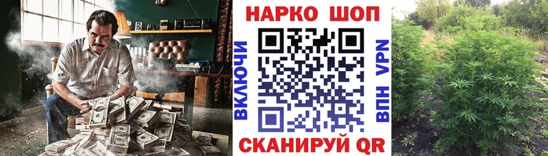 Где купить наркотики Онега КОКАИН  Псилоцибиновые грибы  Гашиш  АМФ 