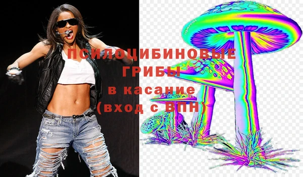 мяу мяу мука Вязьма