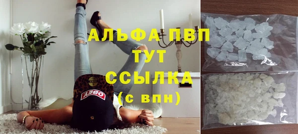 ПСИЛОЦИБИНОВЫЕ ГРИБЫ Вяземский