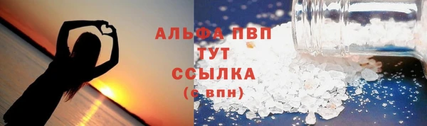 ПСИЛОЦИБИНОВЫЕ ГРИБЫ Вяземский