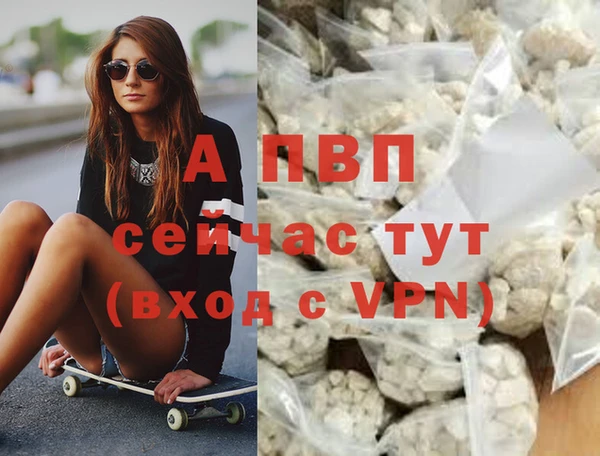 ПСИЛОЦИБИНОВЫЕ ГРИБЫ Вяземский