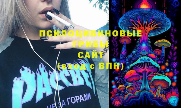 ГАЛЛЮЦИНОГЕННЫЕ ГРИБЫ Вязники