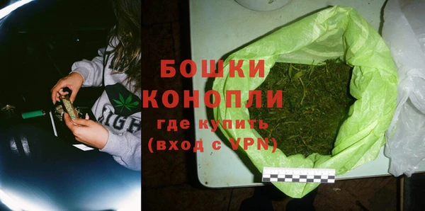 ГАЛЛЮЦИНОГЕННЫЕ ГРИБЫ Вязники