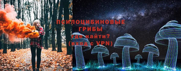 мяу мяу мука Вязьма